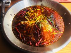 -红牌美蛙鱼头火锅(万辉国际广场店)