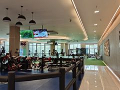 -章鱼健身 Octopus