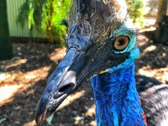 -费瑟代尔野生动物园