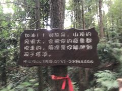 -酒仙湖景区
