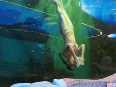 -瑞德姆美人鱼海底演艺主题餐厅(亚龙湾店)