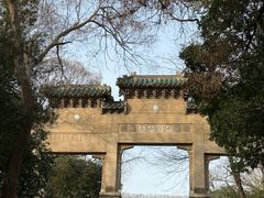 -灵谷景区