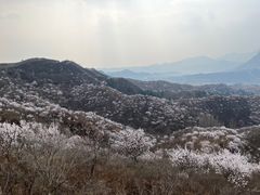 -蟠龙山长城景区