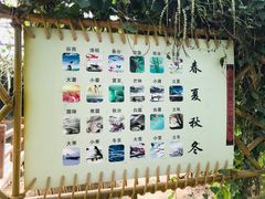 -上海都市菜园