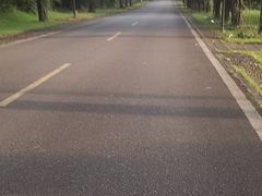 -福建鲤鱼洲酒店