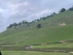 -关山牧场王师烤全羊