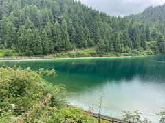 -武陵山森林公园