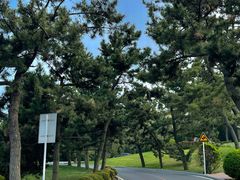 -棒棰岛宾馆景区