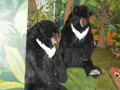 -济州岛泰迪熊博物馆