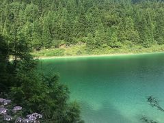 -武陵山森林公园