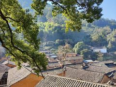 -杨家堂村