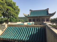 -武汉大学-樱园