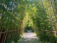 门面-新荣记(西溪湿地店)