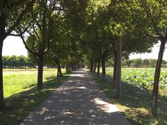 -上膳源有机农场