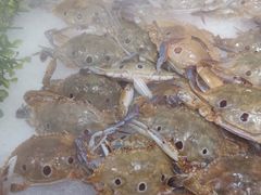 -红透天牛排海鲜自助(长和国际直营店)