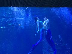 -华夏文旅海洋公园