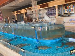 水产区-必点蒸汽海鲜(止锚湾店)