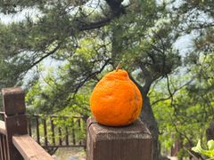 -北京十三陵国家森林公园蟒山景区