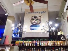 -猫咪博物馆(顶澳仔猫街店)