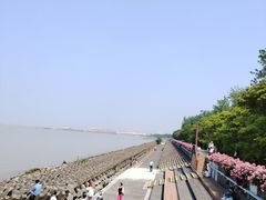 -上海滨江森林公园
