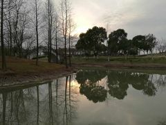 -尚贤河湿地