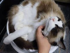 -零纪元VR体验馆·桌游(黄浦店)