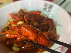 -龙巢盱眙龙虾·牛蛙·烧烤宵夜(八卦岭店)