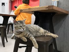 -蔡林记(黄鹤楼店)