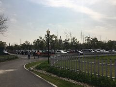 -上海浦江郊野公园-2号停车场