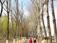 -东郊湿地公园