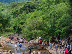 -广州白江湖森林公园