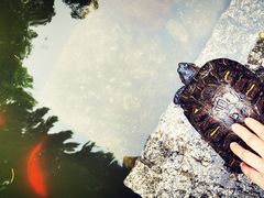 -南岳衡山风景名胜区-南岳大庙