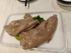 -丁老爷子苏香圆