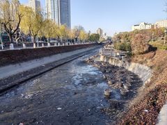 -马濠公园