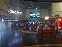 -万达影城(汉街万达广场IMAX店)
