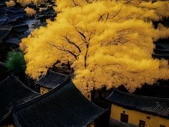 -腾冲云峰山