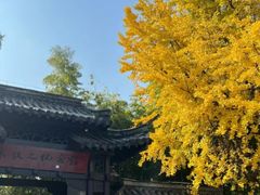 -求雨山文化公园