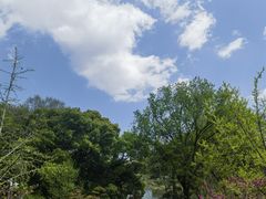 -深业半汤御泉庄温泉