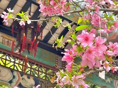 -宝墨园景区