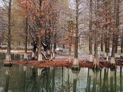 景点-白塘生态植物园