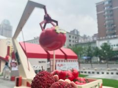 -沈阳铁西万象汇