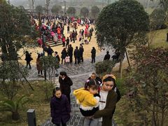 -枫香湖儿童公园