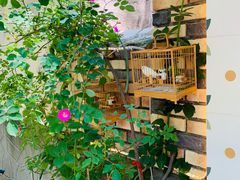 -Rabbit Cafe私房西餐甜点咖啡(栖霞路店)