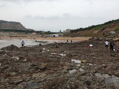 -东戴河风景区