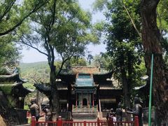 -晋祠公园