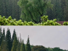 -宜兴龙背山森林公园