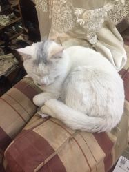 -梵梦影像馆(绿博园店)