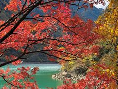 -叠溪松坪沟景区