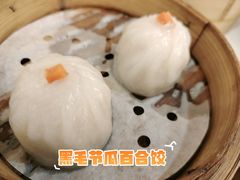 -聚福山莊·寻味顺德(北滘店)