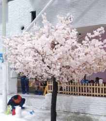 -Mr·Kuma酷么先生雪之乐园